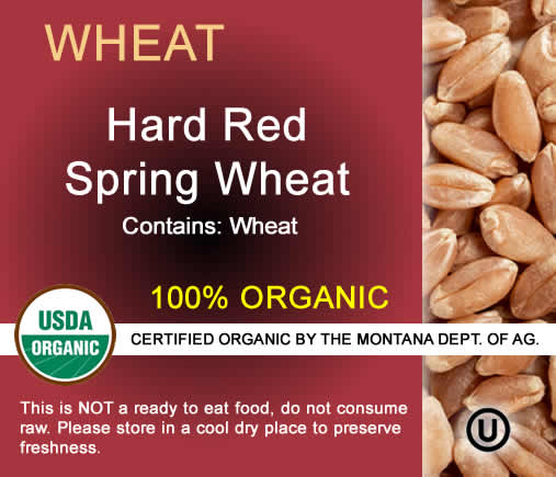 Organic Hard Red Spring Wheat for Baking